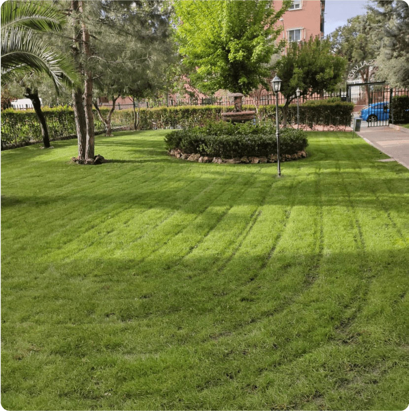 Servicios de jardinería