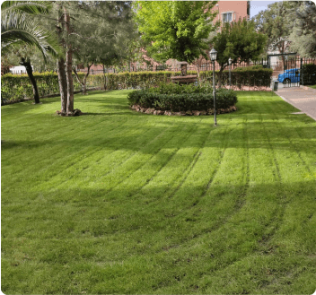 Expertos en Servicios de jardinería