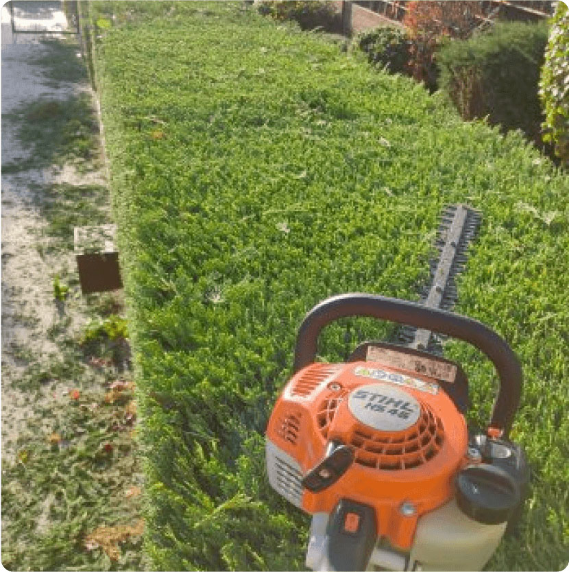 Expertos en Servicios de jardinería